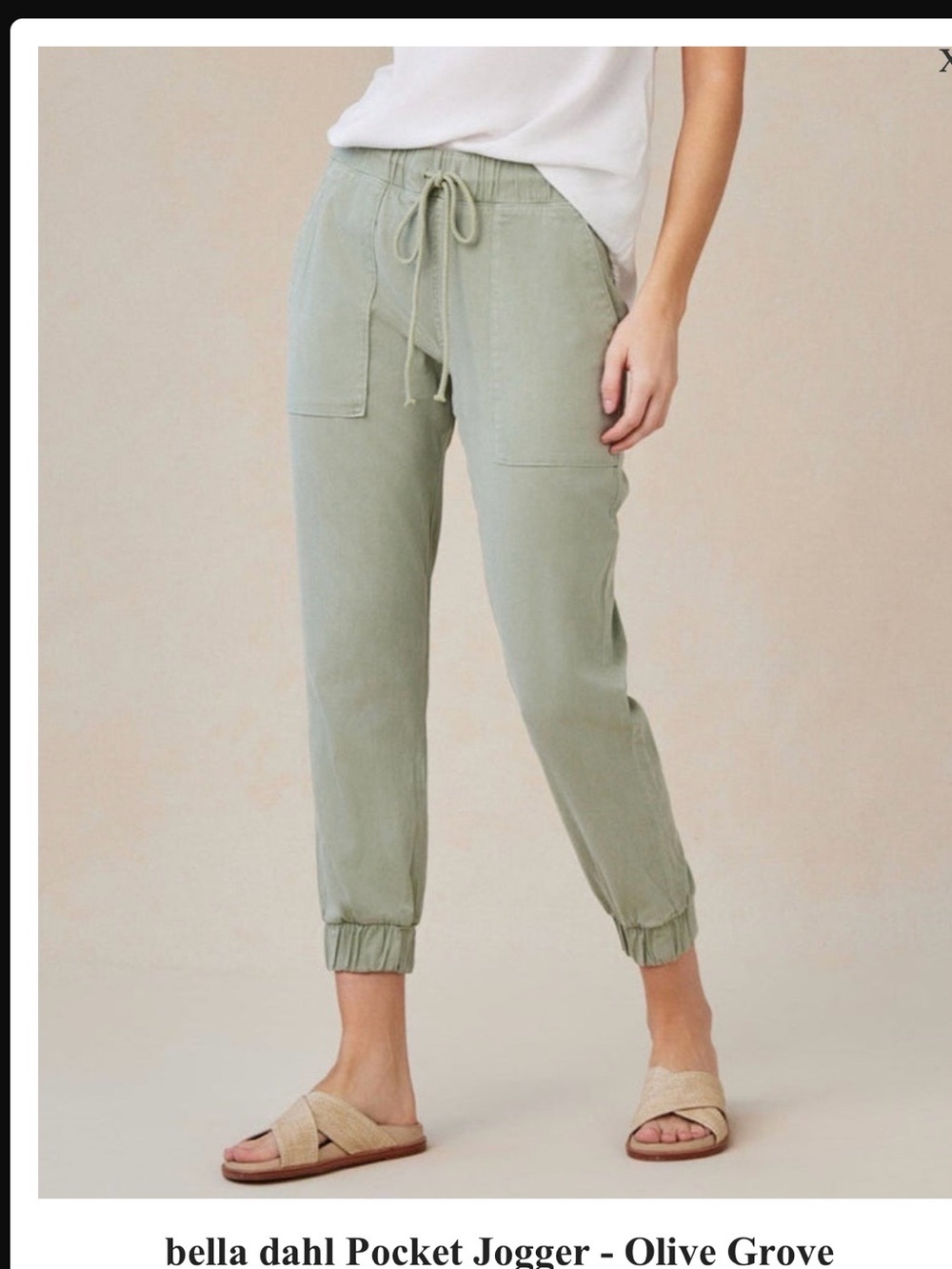 Bella Dahl Olive Grove Drawstring Pocket Joggers, XS